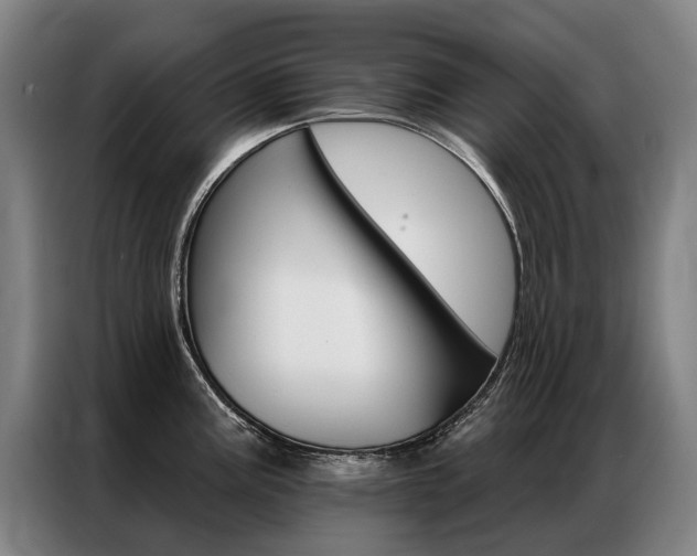 X0000087351195200704200758