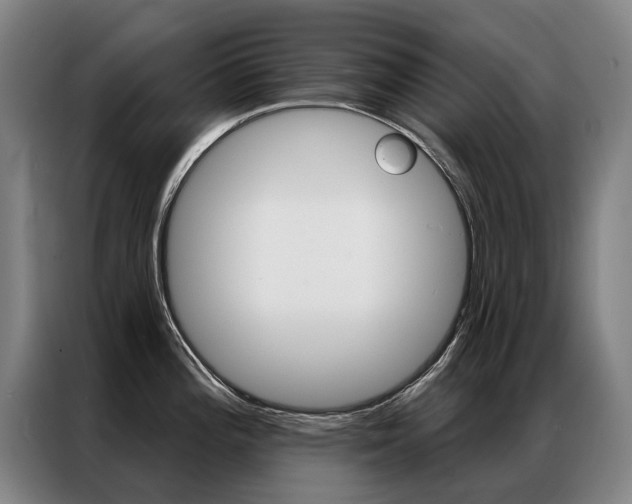 X0000087351196200704200758