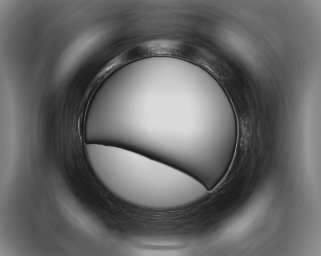 X0000087351198200704200758