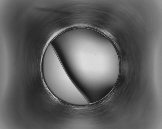 X0000087351199200704200758