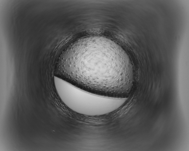 X0000087351201200704200757