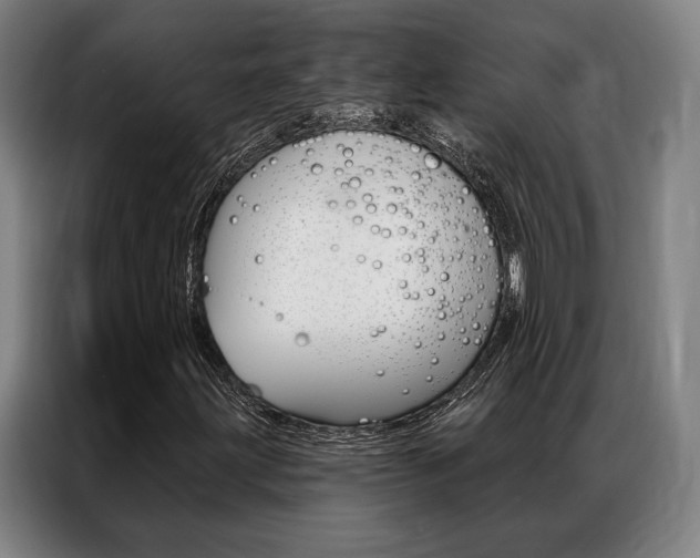 X0000087351203200704200757
