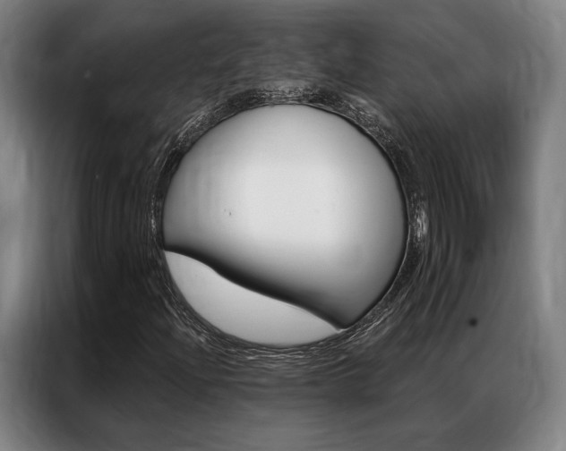 X0000087351204200704200757