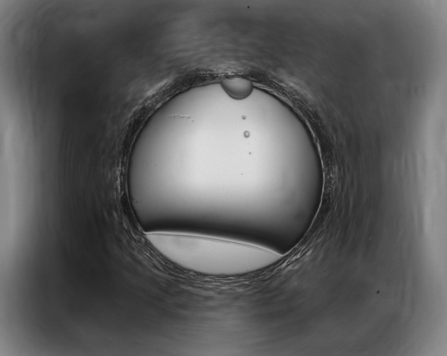 X0000087351205200704200757