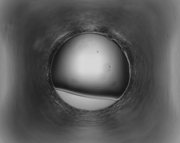 X0000087351206200704200757