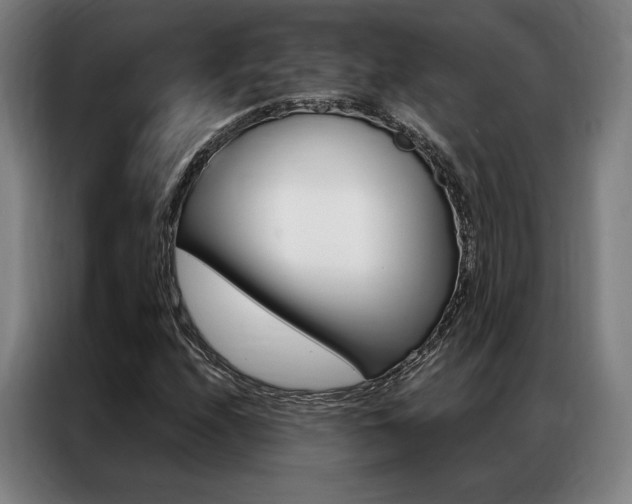X0000087351208200704200757