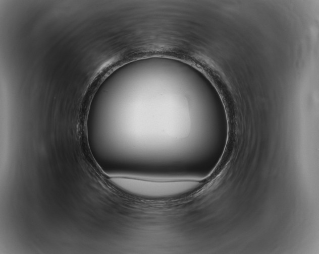 X0000087351210200704200757