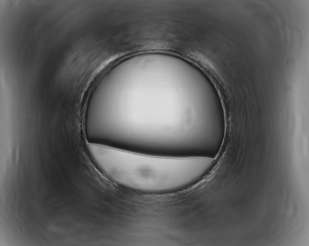 X0000087351212200704200757