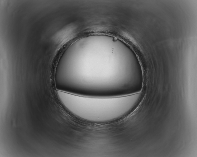 X0000087351213200704200757