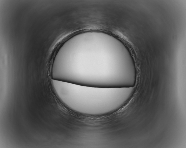 X0000087351215200704200757