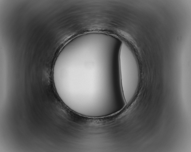 X0000087351217200704200757