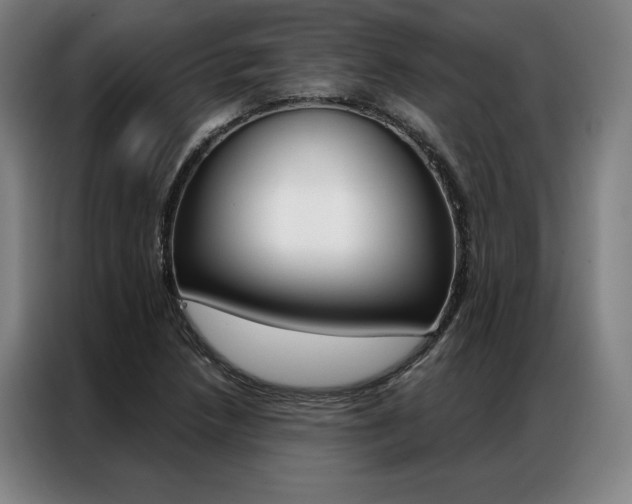 X0000087351218200704200757