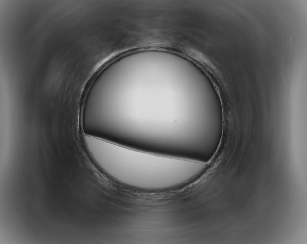X0000087351220200704200757