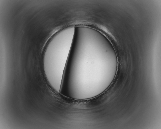 X0000087351221200704200757