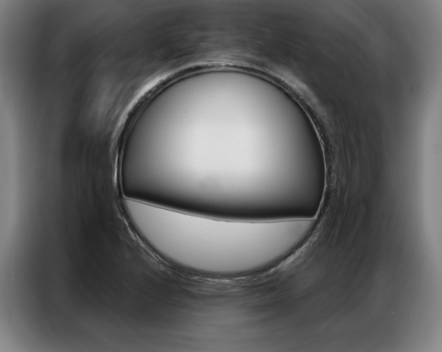 X0000087351224200704200757
