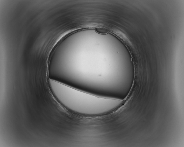 X0000087351228200704200757