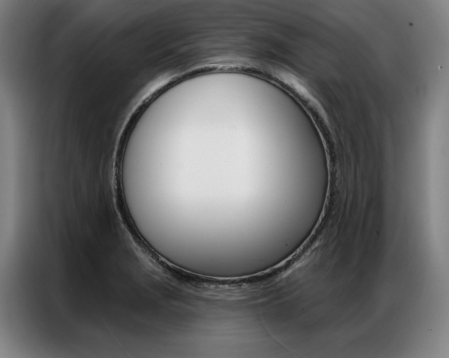 X0000087351229200704200757