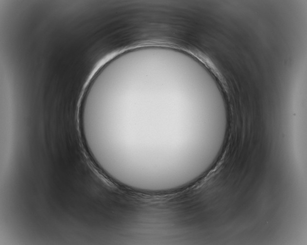 X0000087351230200704200757