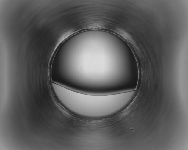 X0000087351234200704200757