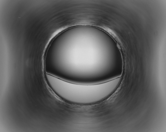 X0000087351238200704200757