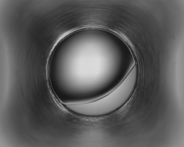 X0000087351246200704200758