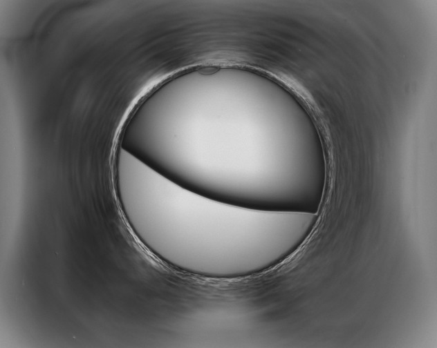 X0000087351248200704200758