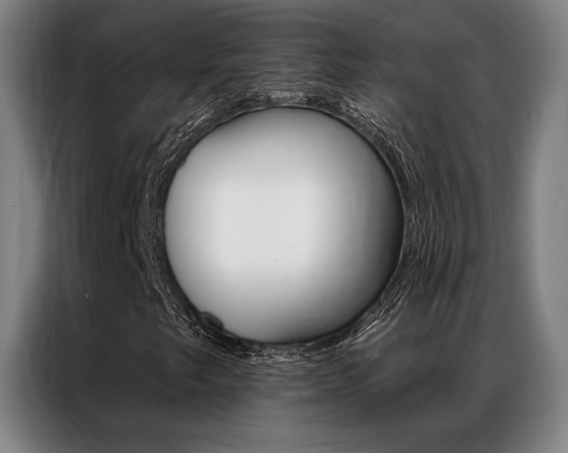 X0000087351249200704200757