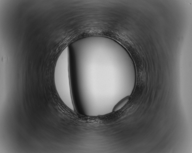 X0000087351250200704200757