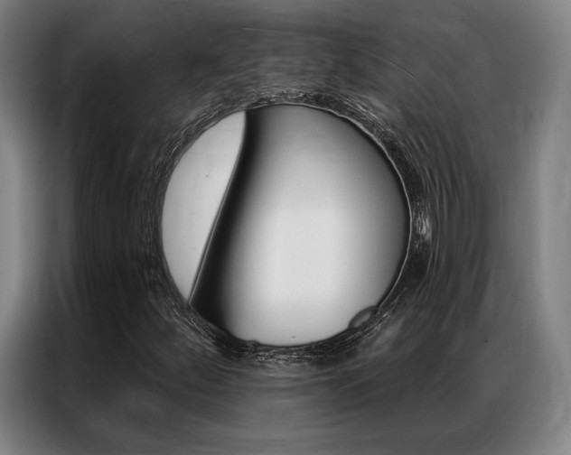 X0000087351252200704200757