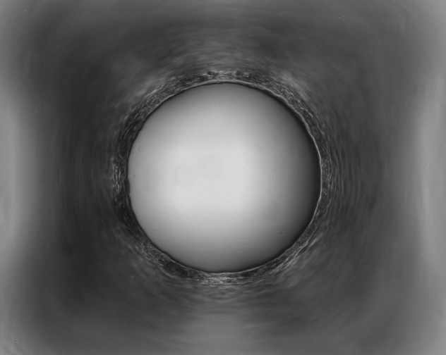 X0000087351253200704200757