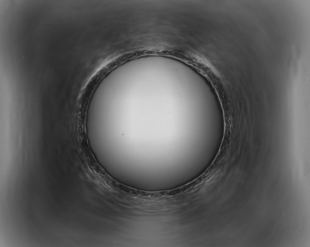 X0000087351256200704200757