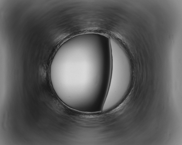 X0000087351257200704200757