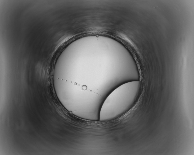 X0000087351259200704200757