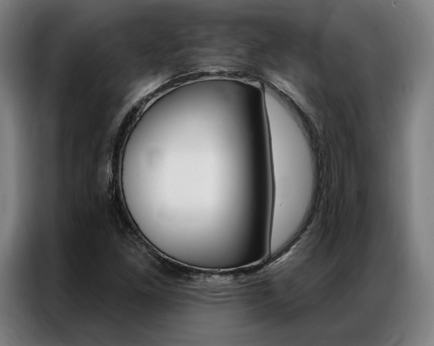 X0000087351261200704200757