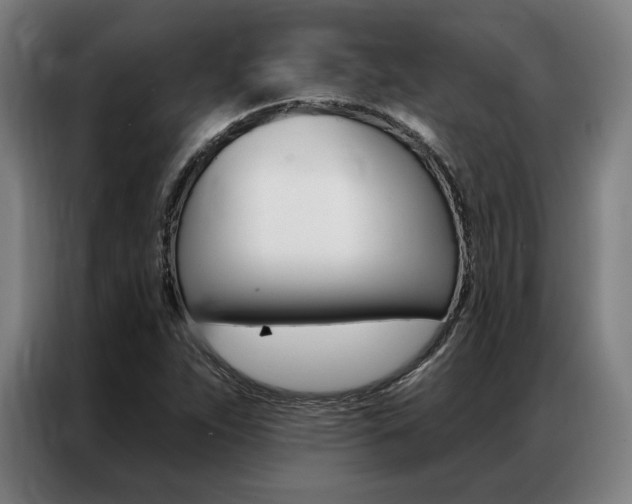 X0000087351263200704200757