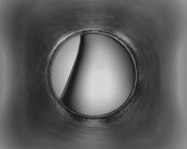 X0000087351264200704200757