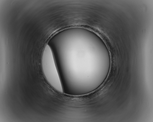 X0000087351265200704200757