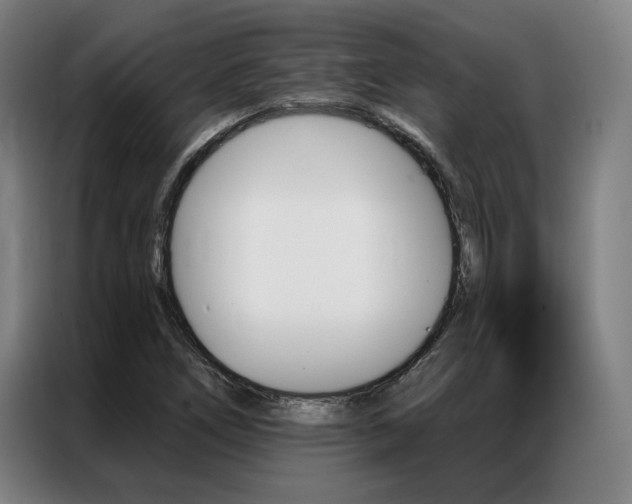 X0000087351266200704200757