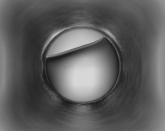 X0000087351270200704200757