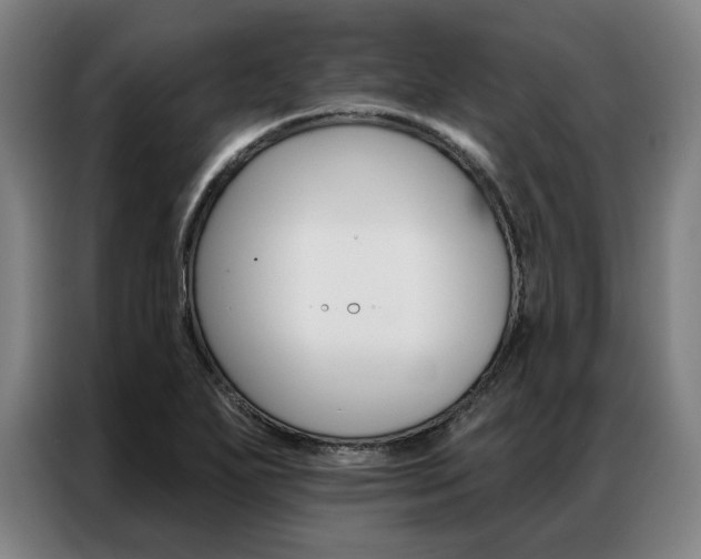 X0000087351271200704200757