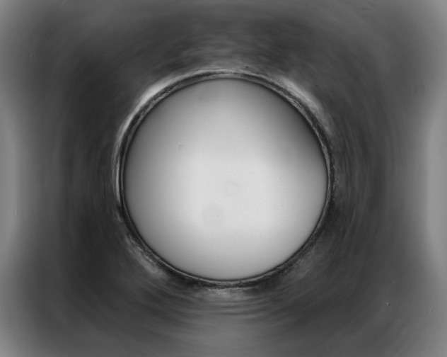 X0000087351272200704200757