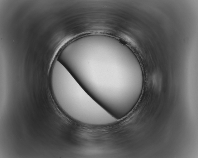 X0000087351275200704200757