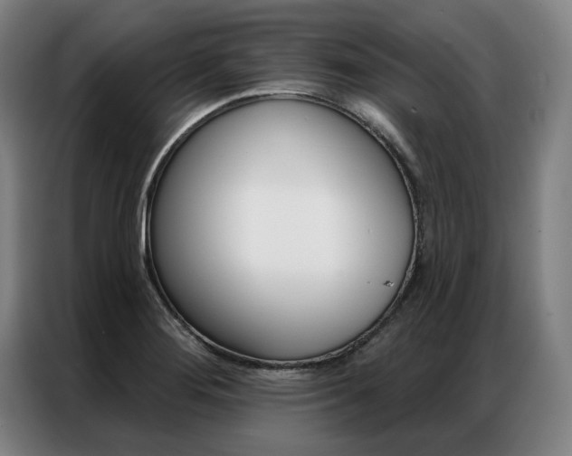 X0000087351276200704200757