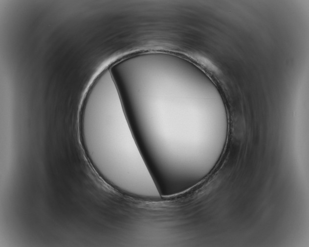 X0000087351280200704200756