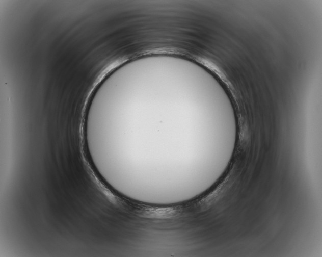 X0000087351282200704200756