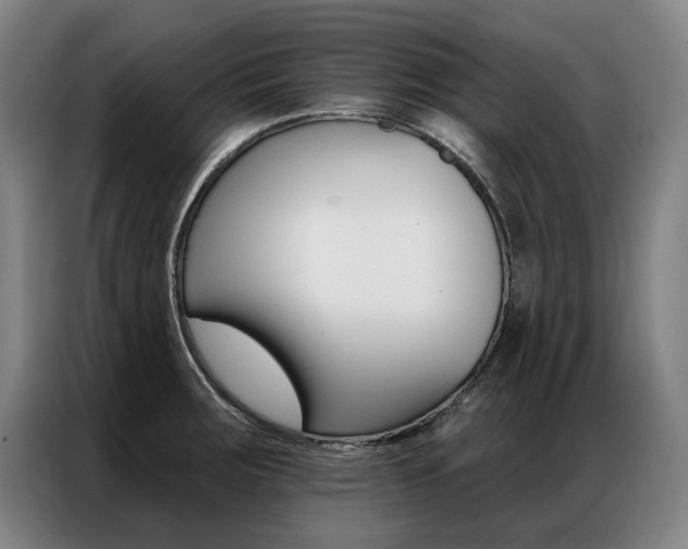 X0000087351283200704200756