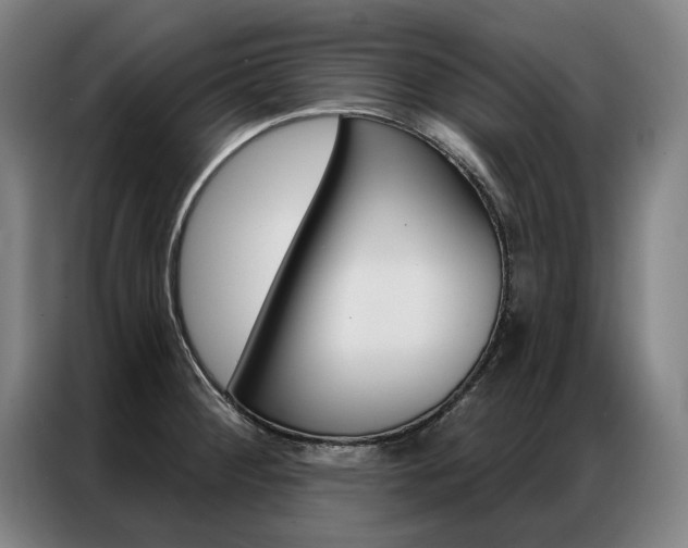 X0000087351284200704200756