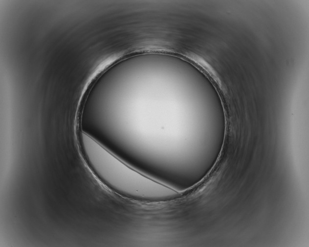 X0000087351285200704200756