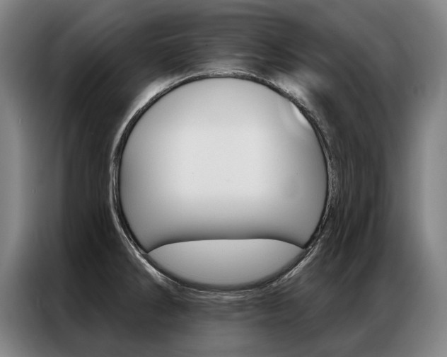 X0000087351286200704200756