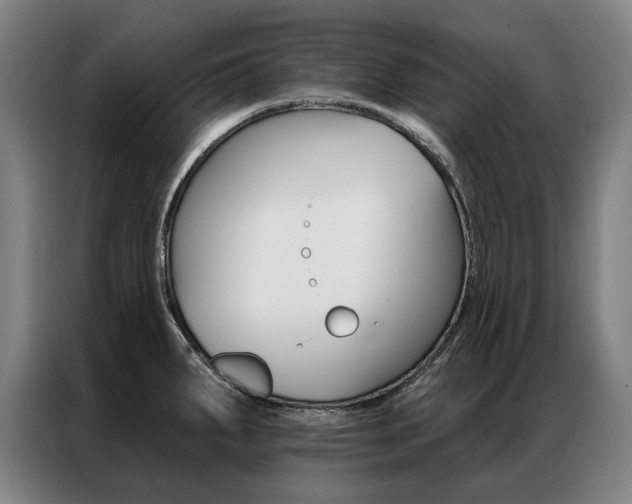 X0000087351287200704200756